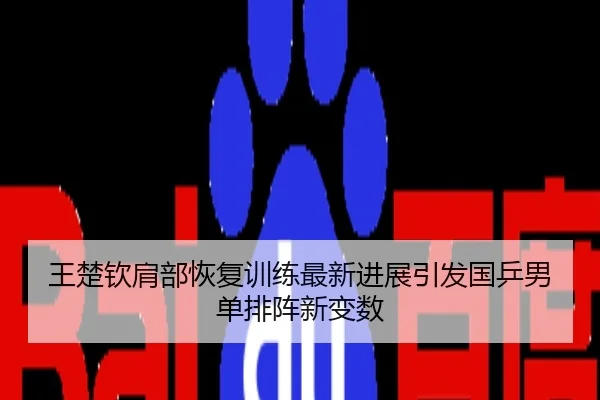 王楚钦肩部恢复训练最新进展引发国乒男单排阵新变数
